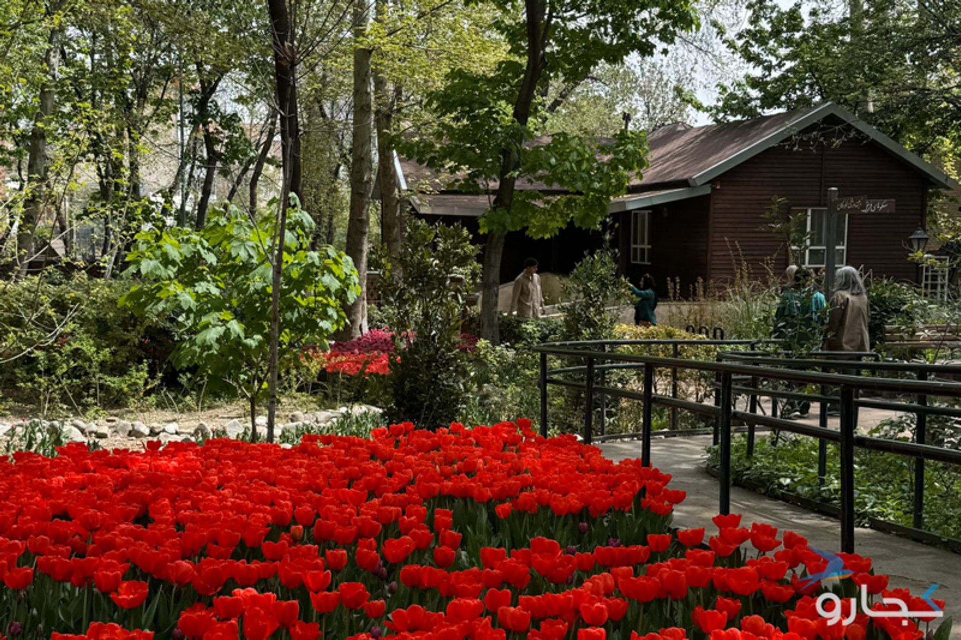 Tehran Garden in Spring