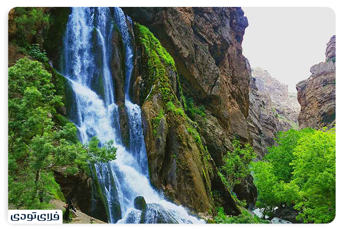 Nature around the waterfall