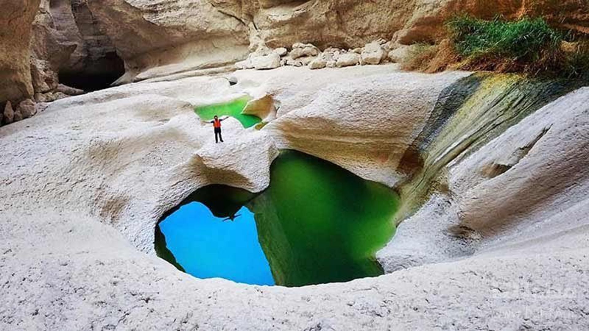The nature of the Bouchir Strait of Hormozgan
