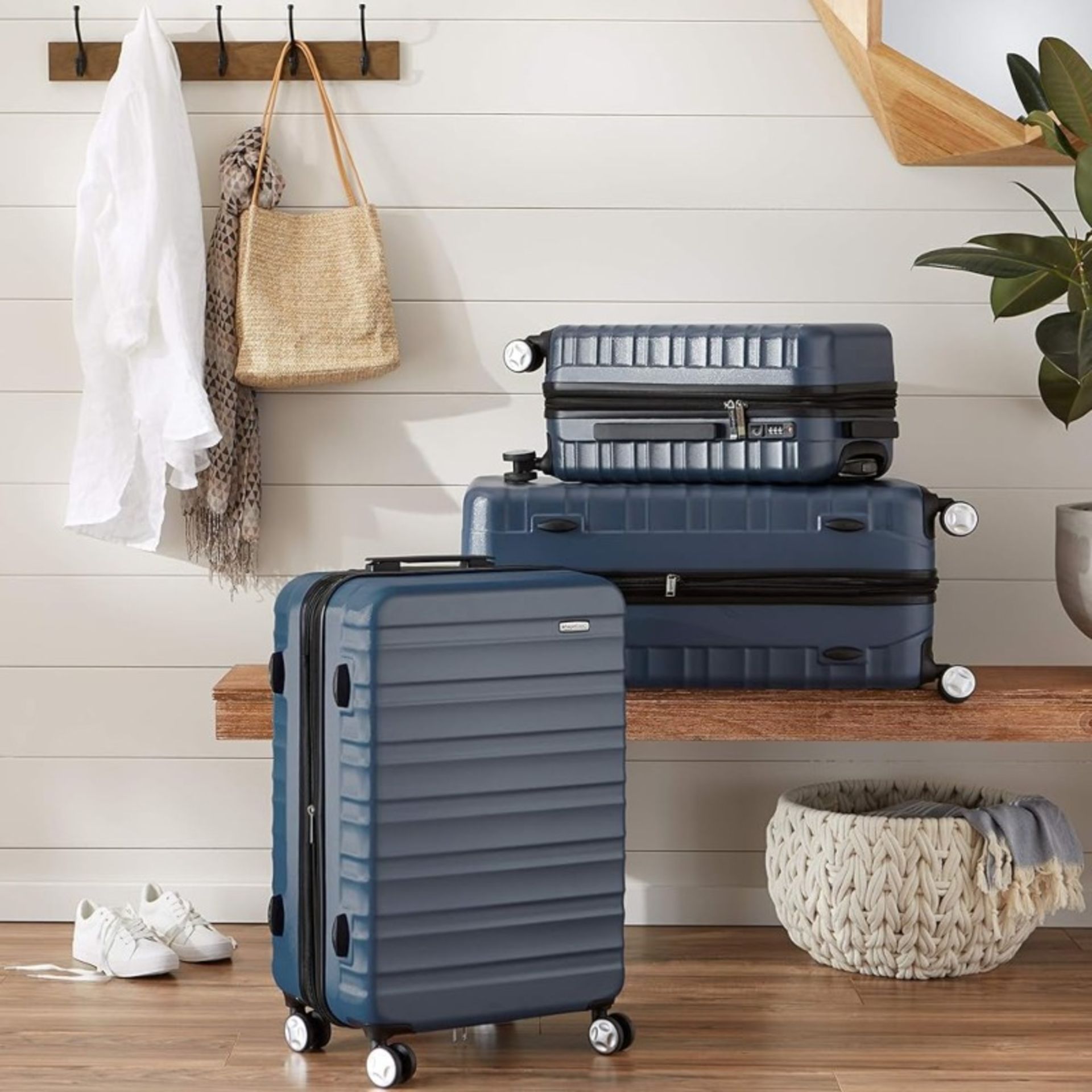 Amazon Basix's blue suitcase