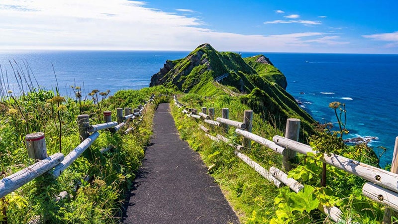 Coastal Wonders: Japan's Hokkaido Naval Culture