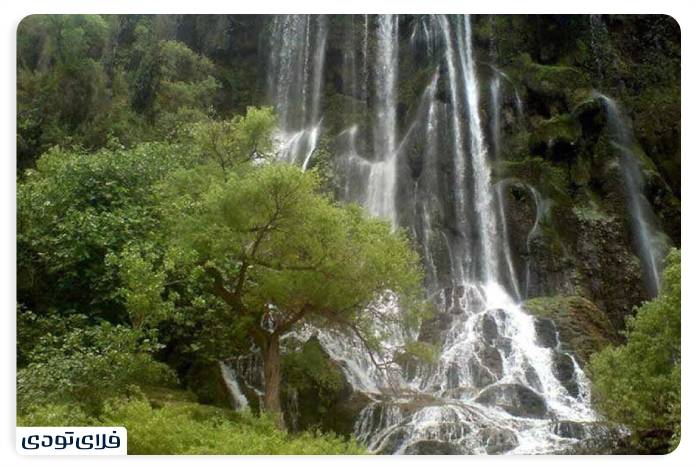 Vegetation around the waterfall