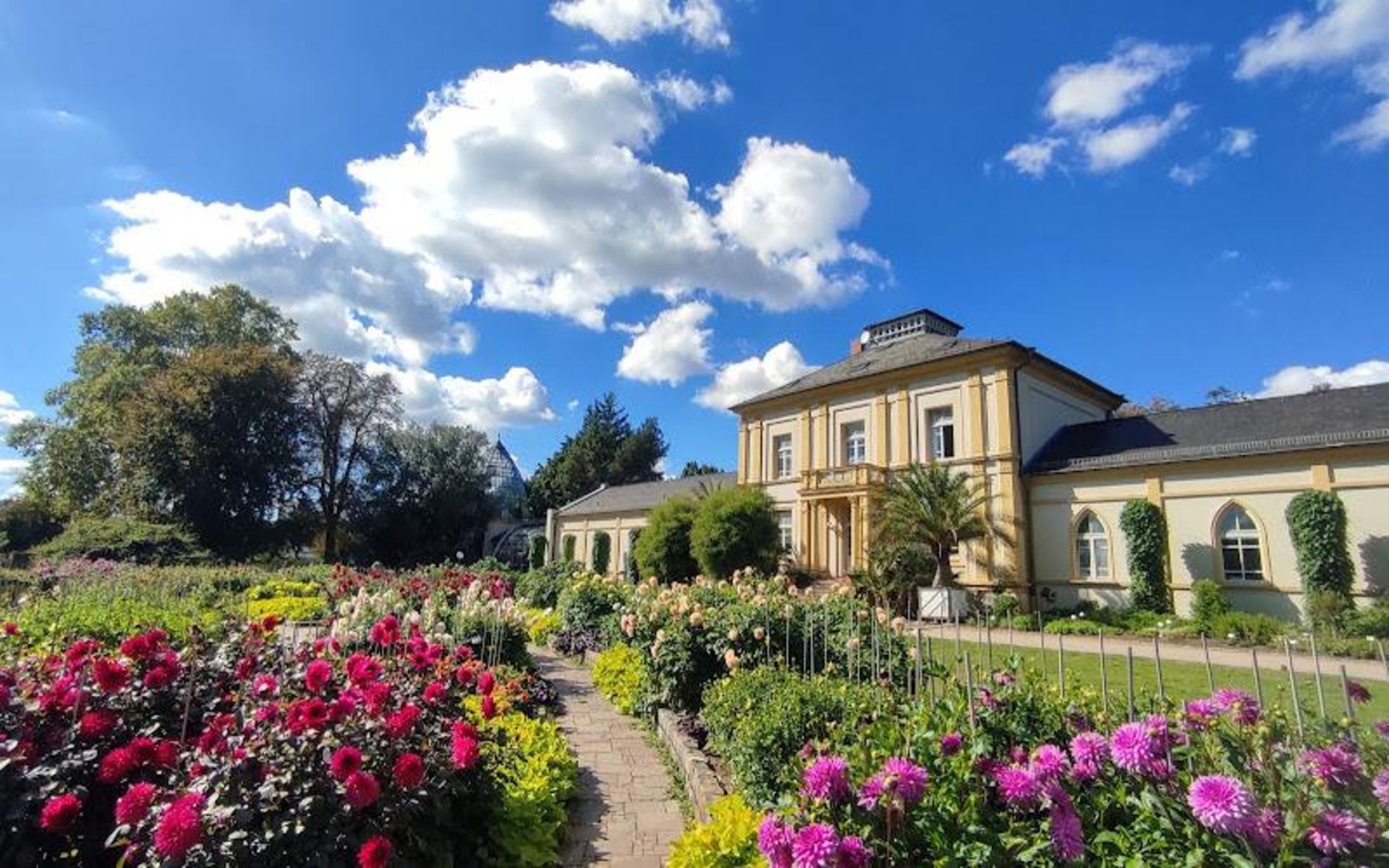 Nature of the Palman Garten Botanical Garden
