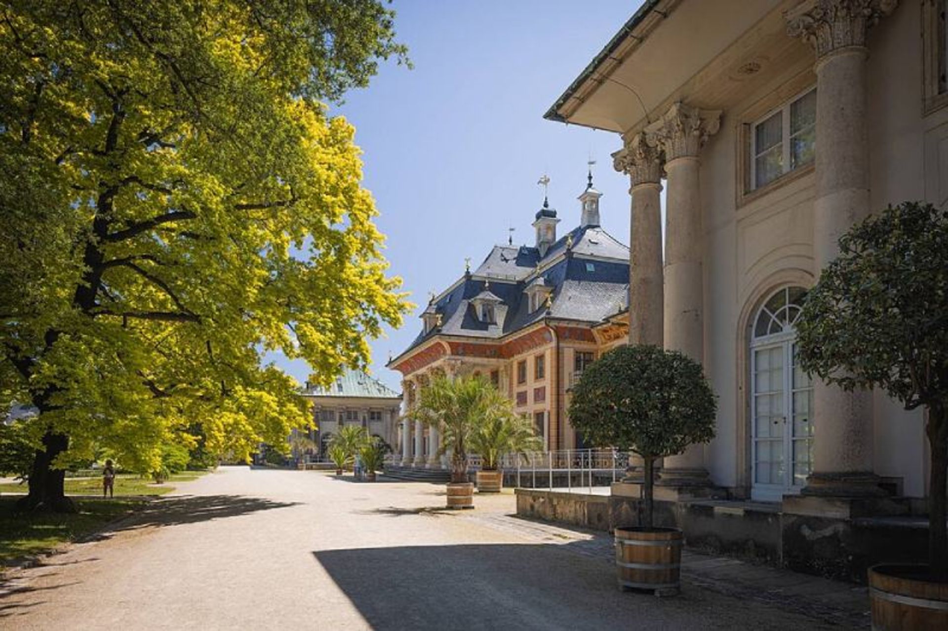 Palace and Park Pillenites Dresden