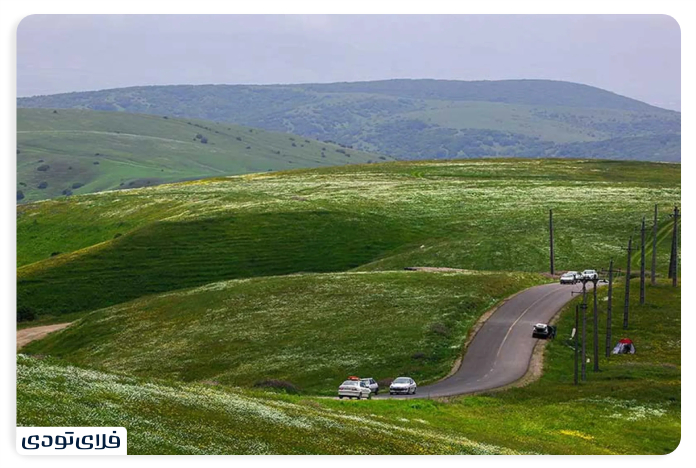 Access to the hazelnut forest