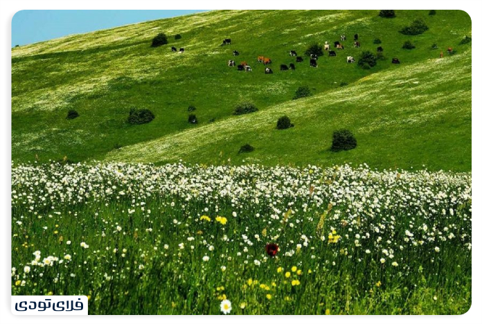 The best season of traveling to the hazelnut forest 