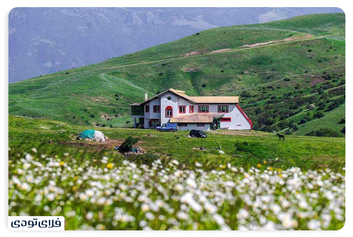 Resorts near the hazelnut forest