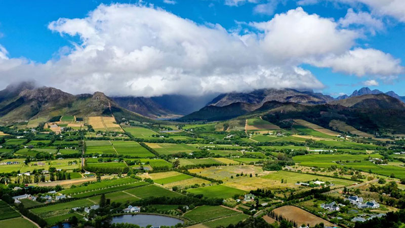 1- Franshk, South Africa