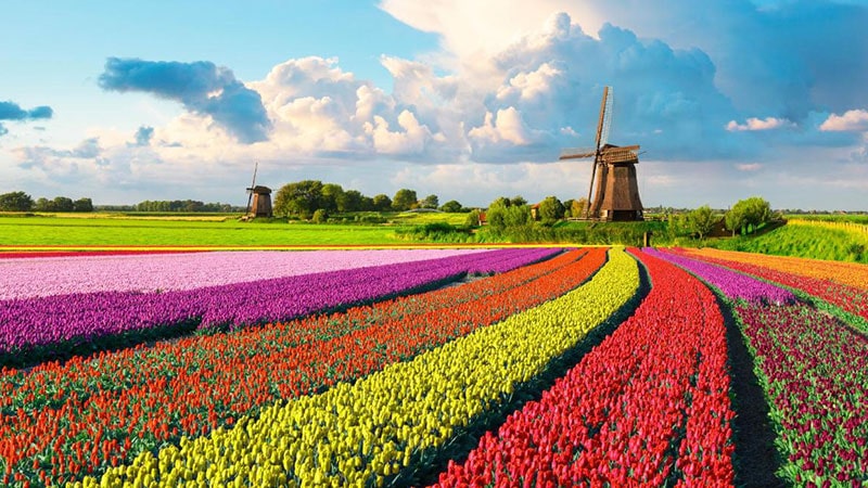 3- Amsterdam, the Netherlands of the best spring destinations in the world