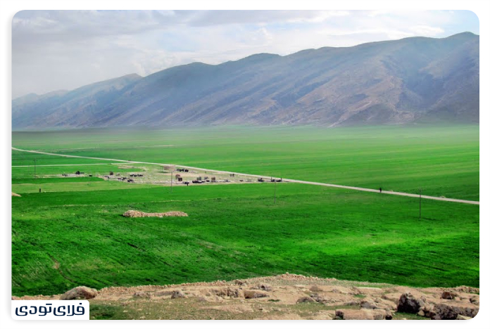 The Valley of the Care