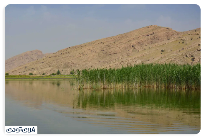 Lake Parishan's vegetation and animal