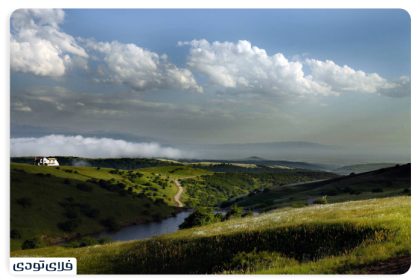 Where is the hazelnut forest?