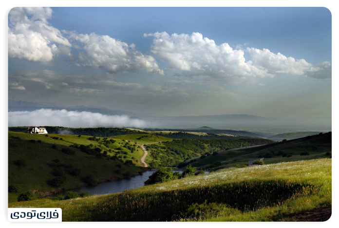 Where is the hazelnut forest?