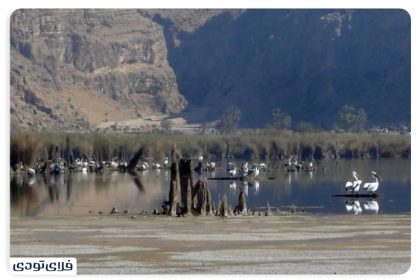 Where is the Lake Distressed?