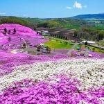 Hokaido Island: Travel to one of the top ski destinations in the world