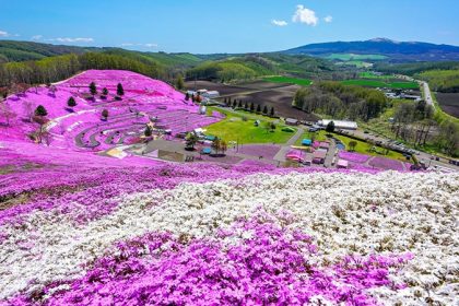 Hokaido Island: Travel to one of the top ski destinations in the world