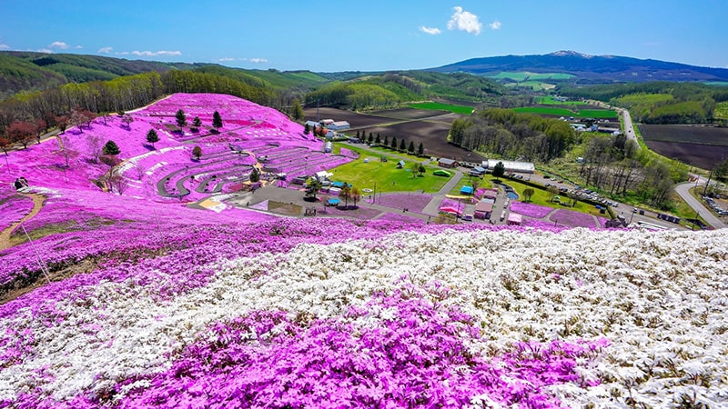 Hokaido Island: Travel to one of the top ski destinations in the world