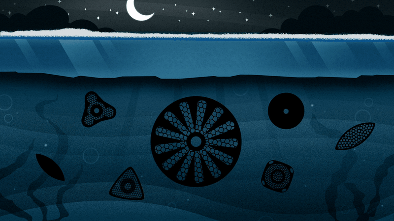 How does life continue in the darkest situation?