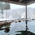 Introducing Unions: A Japanese Hot Springs World