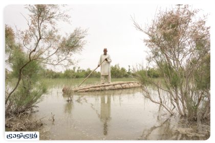 Where is our wetland?