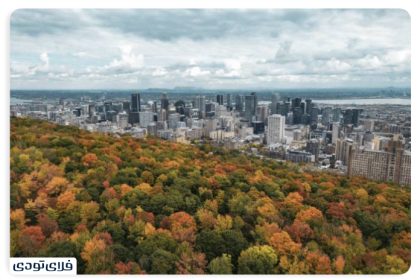 Spectacular places of Montreal