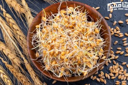 How to make wheat germ powder