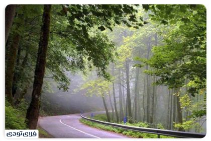 Where is the Dalkhani forest?