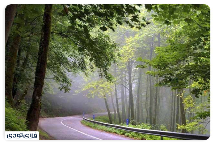 Where is the Dalkhani forest?