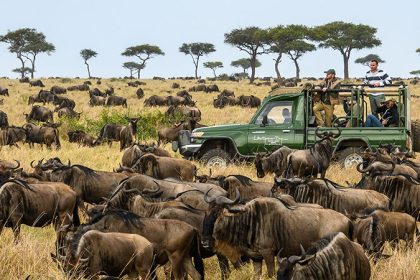 Safari in Kenya: An unforgettable experience in the heart of wild nature