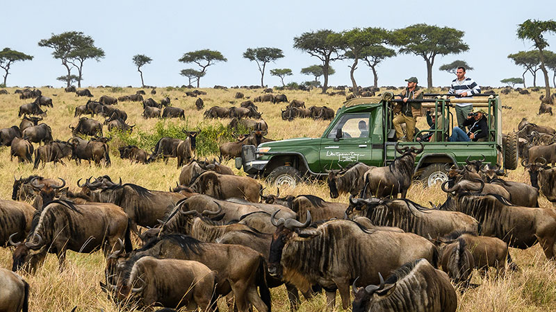 Safari in Kenya: An unforgettable experience in the heart of wild nature