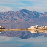 Chinese. The huge sea of ​​oil