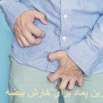 The best ointment for the testicular itching