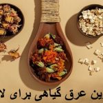 The best herbal sweat for slimming