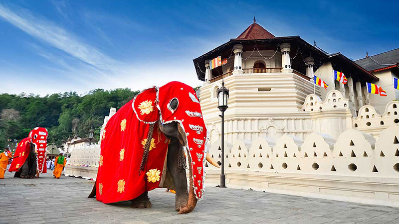 Temple of the Tooth Temple