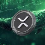 why-is-the-xrp-price-up-today-