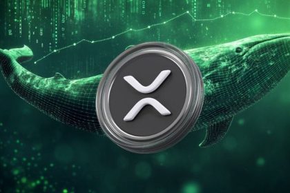 why-is-the-xrp-price-up-today-