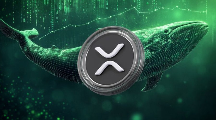 why-is-the-xrp-price-up-today-