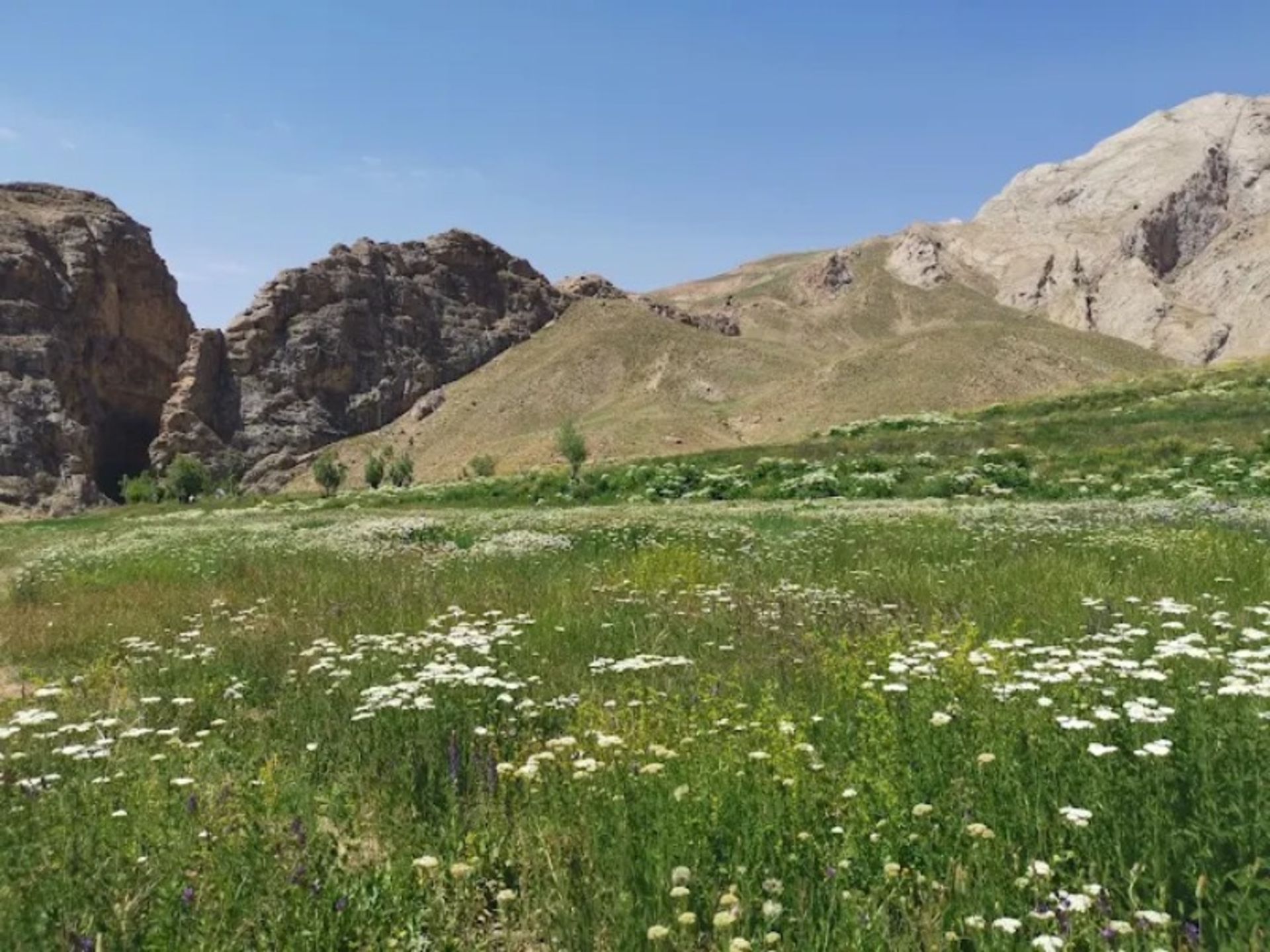 Washi Strait Plain in Spring