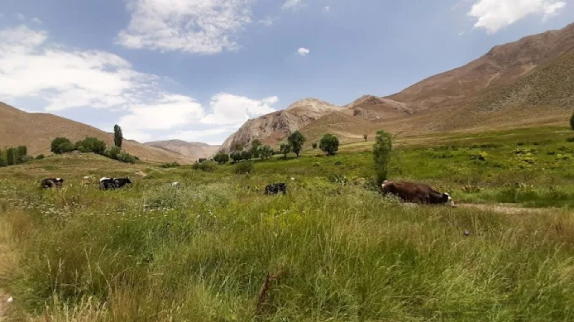 The nature of the plain of the gorge