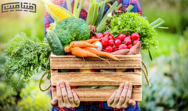 Foods containing iron and zinc