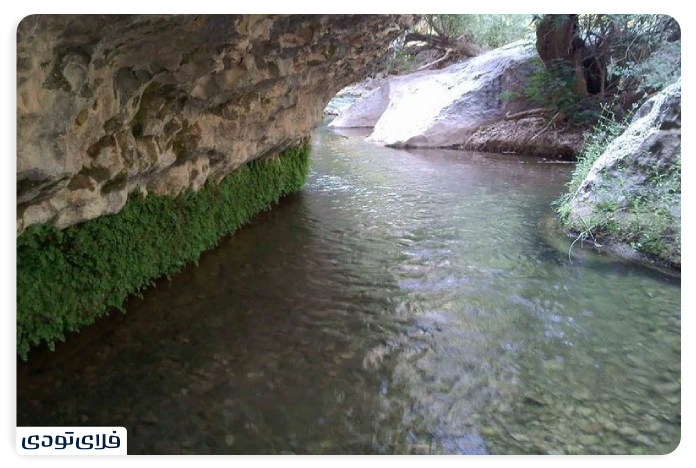 The History of the Lost Paradise of Shiraz