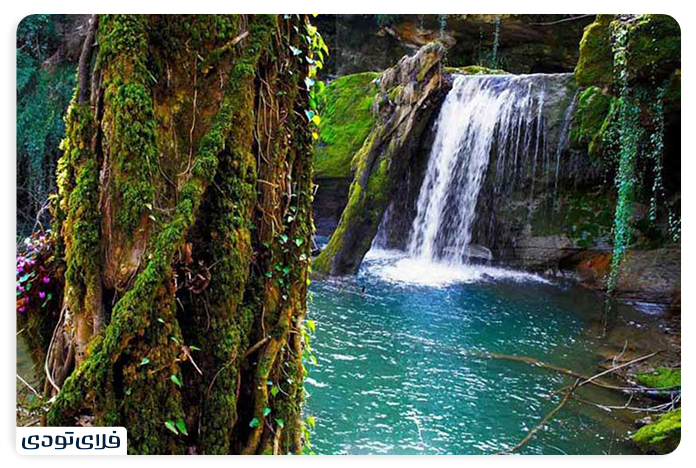 Lost Paradise of Shiraz 