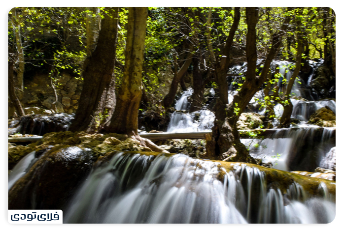 Marvdasht Tang and Animal Coating