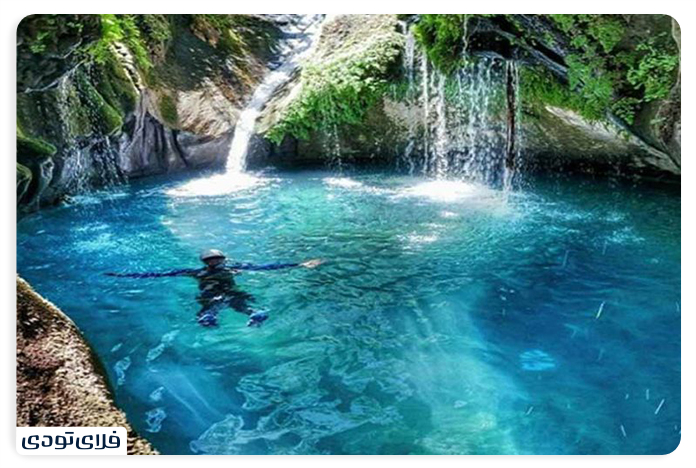 Shiraz's shiny tight 