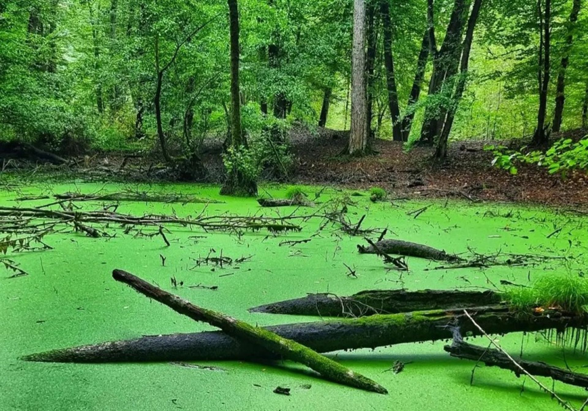 Varben Chalus Mazandaran