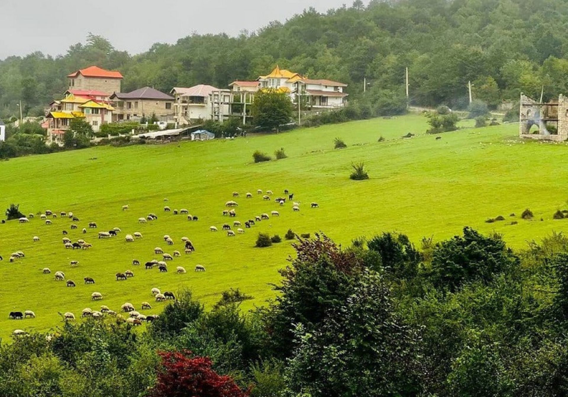 Heights of Kalardasht