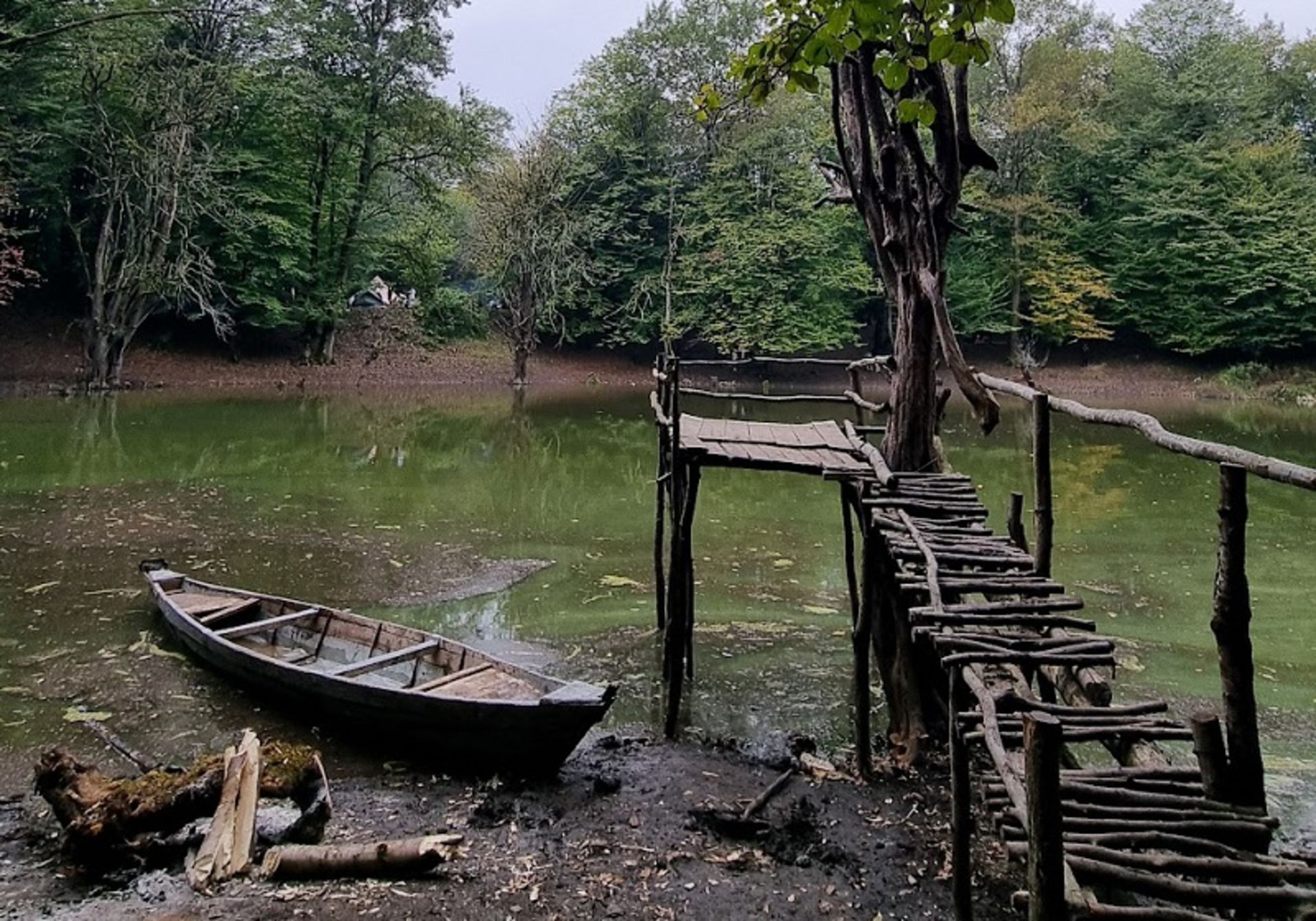 The nature of the marsh