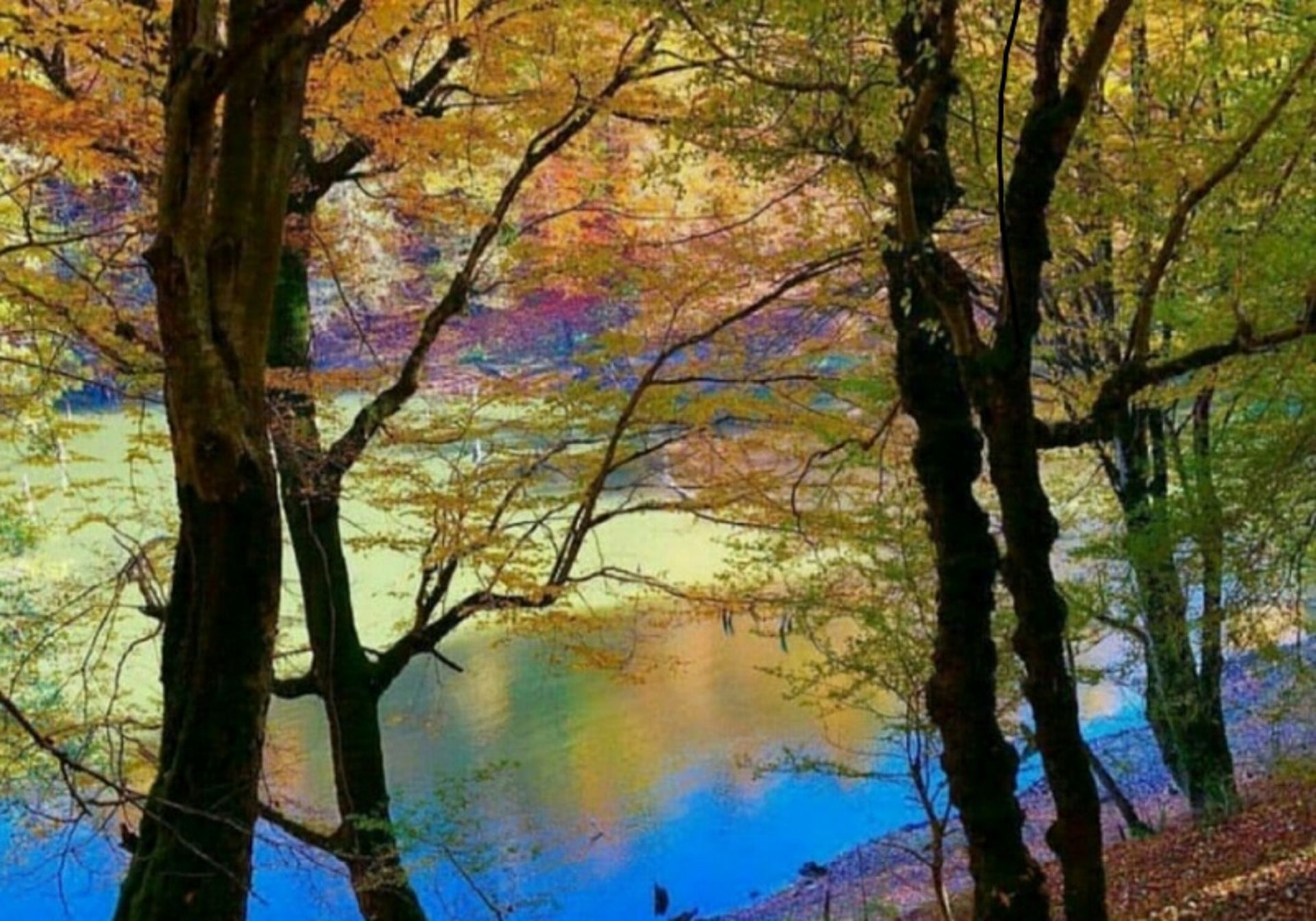 Chalus Verben Mailer in Autumn