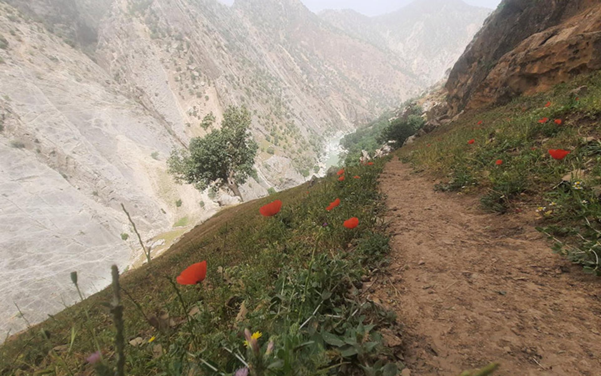 Landy Waterfall Mountain