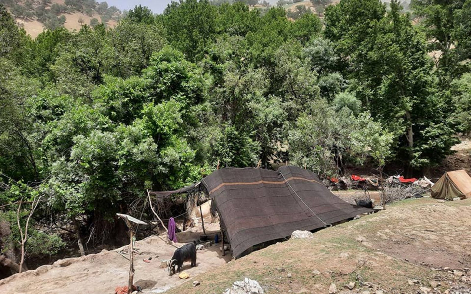 Landi village tribes